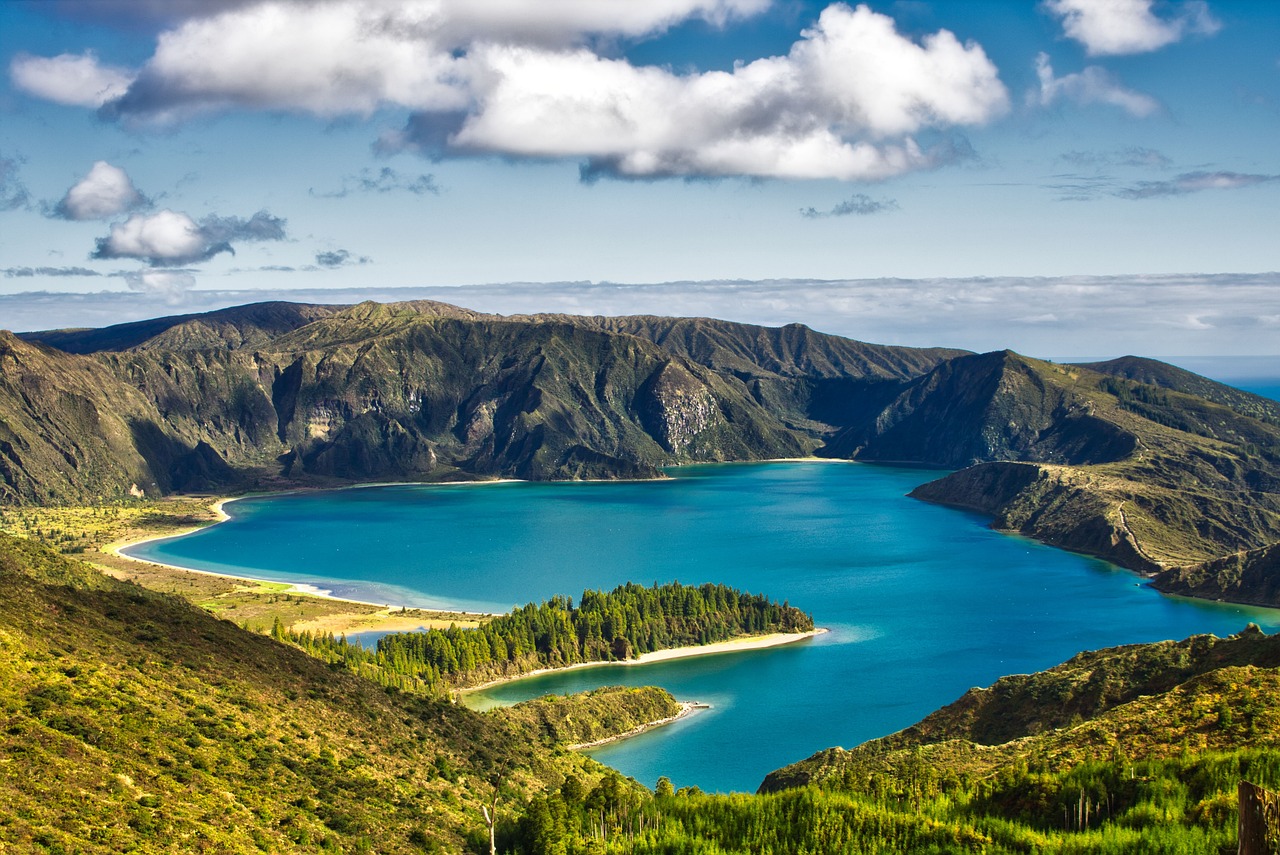 Conserving Habitats, Conserving Species: Focusing on Ecosystems
